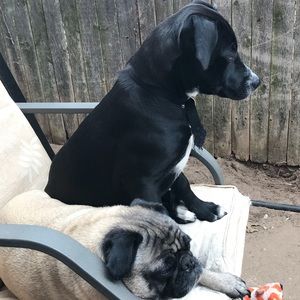 Meet your Posher, Amber